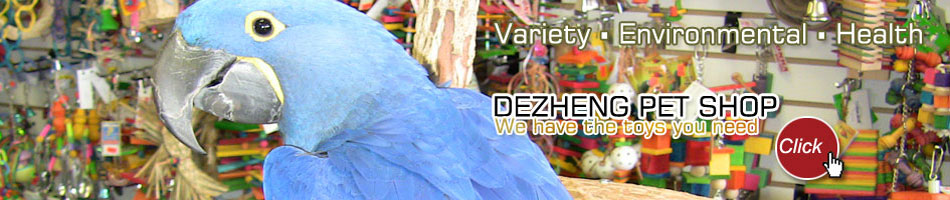 DEZHENG PET SHOP & WHOLESALE 